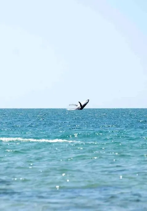 ברגרה Pet & Family Friendly Ocean Front Beach Cottage 0*,